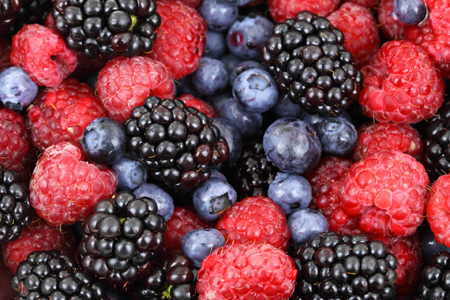 bosvruchten foto pixabay bosvruchten foto pixabay