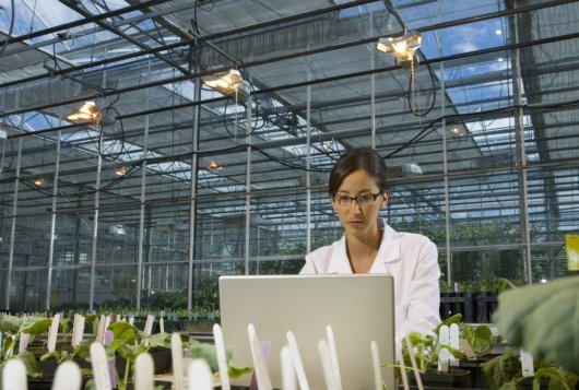 Studie in de kas, foto: Thinkstock Studie in de kas, foto: Thinkstock
