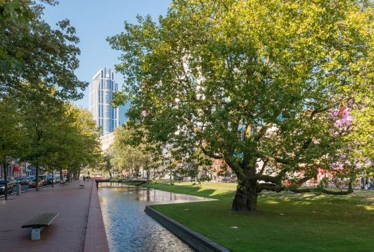 Ontwikkelen naar een duurzame stad