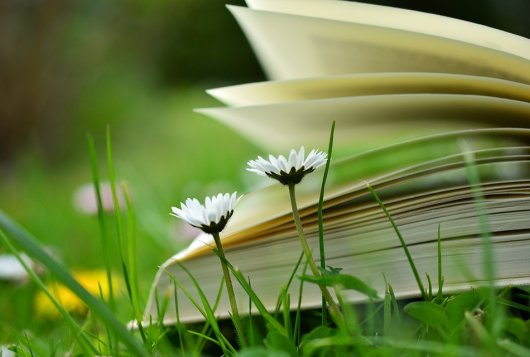 boek, gras, foto Pixabay