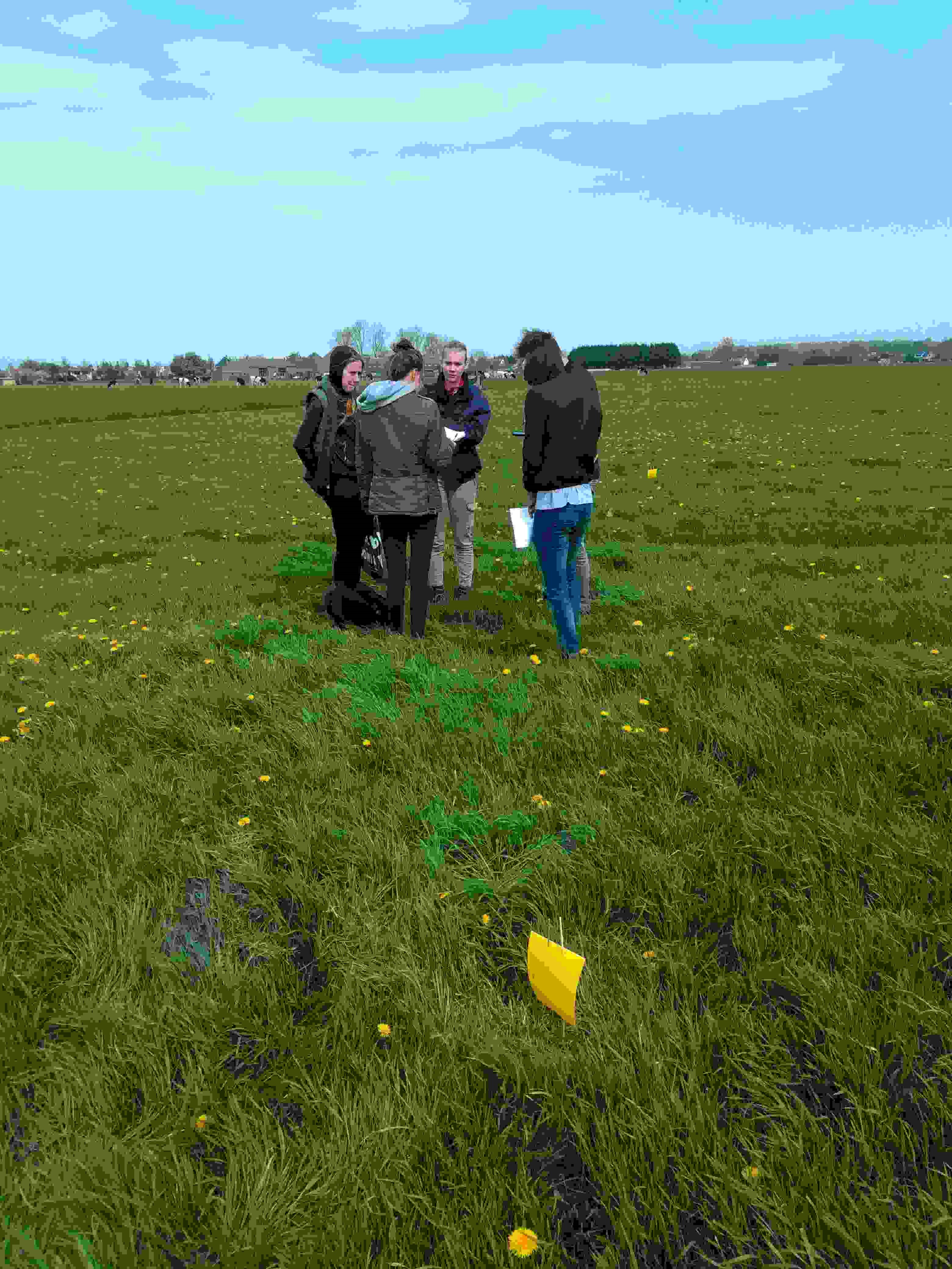kruidenrijk grasland-monitoring insecten.jpg kruidenrijk grasland-monitoring insecten.jpg